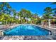 Community pool with clear blue water, lounge chairs, and palm trees at 3325 Azurite Way, Bradenton, FL 34211