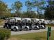 Golf carts parked near the green at 7619 Teal Trace, Bradenton, FL 34203