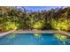 Outdoor pool surrounded by lush tropical landscaping with integrated under cabinet lighting at 2434 Wood St, Sarasota, FL 34237