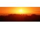 Golden sunset over the horizon with sunbeams, sea and silhouetted trees at 3060 Grand Bay Blvd # 154, Longboat Key, FL 34228