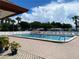 Community pool featuring clear water, ample lounge seating and green palm trees at 3813 42Nd W St # 37, Bradenton, FL 34205