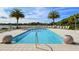 Inviting outdoor pool area with lounge chairs, palm trees, and serene lake views for relaxation at 10510 Boardwalk Loop # 602, Bradenton, FL 34202