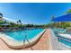 Community pool and lounge chairs with tropical foliage at 362 Pine Run Dr, Osprey, FL 34229