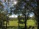 Expansive backyard with a view of a serene field and trees under a bright sky at 4939 Myakka Valley Trl, Sarasota, FL 34241