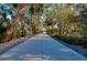 Long concrete driveway lined with mature trees leading to the property at 4939 Myakka Valley Trl, Sarasota, FL 34241