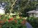 Lush garden with vibrant red flowers and a charming path leading to a cottage at 4939 Myakka Valley Trl, Sarasota, FL 34241
