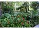 Beautiful landscaping with bromeliads and various plants lining a path at 4939 Myakka Valley Trl, Sarasota, FL 34241