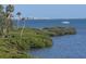 Scenic waterfront view showcasing lush greenery, clear blue waters, and a distant cityscape at 6430 Sun Eagle Ln # 201, Bradenton, FL 34210