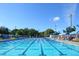 Outdoor swimming pool with lane markers, flags, and shaded areas at 2254 Hawthorne St, Sarasota, FL 34239