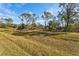 Expansive backyard bordered with mature trees and natural foliage at 3598 Trinity St, North Port, FL 34291