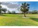 Lush green golf course with a palm tree accent and distant houses under a blue sky with scattered clouds at 5304 96Th E St, Bradenton, FL 34211