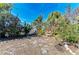Backyard area has a garden with chairs and pots surrounded by tropical plants at 609 Foxworth Ln, Holmes Beach, FL 34217
