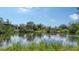 Scenic view of the pond and backyard at 92 Tall Trees Ct, Sarasota, FL 34232