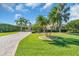 Beautifully landscaped front yard with a mature palm trees and a paver driveway at 3336 Lakeside Cir, Parrish, FL 34219