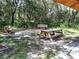 The picnic area in The Legacy Trail includes a table, benches and lush greenery at 3814 Mira Lago Dr, Sarasota, FL 34238