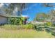 Lush backyard featuring mature trees, screen enclosure, and a well-maintained lawn at 4147 Augustine Ave, Sarasota, FL 34231