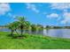 A picturesque pond surrounded by lush green grass and palm trees on a bright, sunny day with a blue sky at 4244 Reflections Pkwy, Sarasota, FL 34233