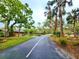 Curvy street with mature trees and well-maintained landscaping, enhancing the neighborhood's appeal at 1407 Willow Oak Cir, Bradenton, FL 34209