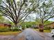 Community street view framed by large trees, showcasing the quiet and established neighborhood at 1407 Willow Oak Cir, Bradenton, FL 34209