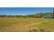 Expansive recreational field surrounded by lush trees, offering a large green space for activities and relaxation at 6373 Royal Tern Cir, Lakewood Ranch, FL 34202