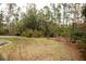 Lush backyard space with green grass, mature trees, and privacy from surrounding woods at 8570 Tropicaire Blvd, North Port, FL 34291