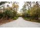 Long, gravel driveway leading to the home surrounded by a canopy of mature trees at 8570 Tropicaire Blvd, North Port, FL 34291