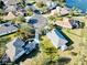 An aerial view of a cul-de-sac neighborhood with well-maintained lawns and mature trees at 8134 Coates Row Pl, Bradenton, FL 34201