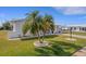 Well-maintained front yard with a pair of palm trees, lush green grass, and a white brick house exterior at 3708 Chinaberry Rd, Bradenton, FL 34208