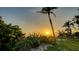 Picturesque beach scene at sunset, showcasing native grasses, aloe plants, and a peaceful ocean view at 4473 Gulf Of Mexico Dr, Longboat Key, FL 34228