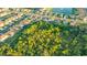 An aerial view shows homes backing to a natural preserve and a community lake at 4221 Park Willow Ave, Palmetto, FL 34221