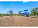 Charming playground featuring swings, slides, and climbing structures nestled on a wood chip ground, offering hours of fun at 5821 Hevena Ct, Palmetto, FL 34221