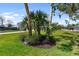 Well-maintained lawn with palms and shrubs at 400 Dona Dr, Nokomis, FL 34275