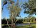 Scenic backyard view with a tranquil pond and lush greenery under a clear blue sky at 15207 17Th E Ave, Bradenton, FL 34212