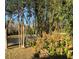 Backyard view of a pond through bamboo and a flowering tree on a sunny day at 15207 17Th E Ave, Bradenton, FL 34212