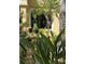 Exterior of a house featuring a lushly landscaped front yard, complete with a palm tree and flowering plants at 15207 17Th E Ave, Bradenton, FL 34212