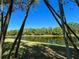 Beautiful view of the pond framed by bamboo stalks and other trees at 15207 17Th E Ave, Bradenton, FL 34212