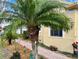 Well-maintained yard with lush plants, a young palm tree, and a brick walkway, complementing the home's exterior at 15207 17Th E Ave, Bradenton, FL 34212