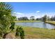 Scenic pond view surrounded by lush landscaping and mature trees offering a tranquil setting at 276 Cerromar Way # 60, Venice, FL 34293