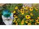 Landscaped front yard featuring a variety of flowers, shrubbery, and a decorative gazing ball at 3301 River Woods Dr, Parrish, FL 34219