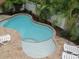 An inviting pool with a tanning ledge surrounded by lush foliage provides a relaxing retreat at 5807 De Palmas Ave, Holmes Beach, FL 34217