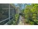 Side yard featuring a walkway with lush, tropical plants and access to screened porch at 2377 Burton Ln, Sarasota, FL 34239