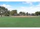 Well-maintained baseball field with lush green grass, trees, and houses in the background in a park setting at 408 Bryn Mawr Is, Bradenton, FL 34207