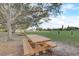 Peaceful park view with picnic table under a shade tree, showcasing a serene outdoor space for relaxation at 408 Bryn Mawr Is, Bradenton, FL 34207