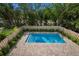 Beautiful backyard pool surrounded by lush greenery and a wooden fence for privacy at 501 Reclinata Dr, Longboat Key, FL 34228