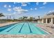 Community pool with a paved deck, lounge chairs, and views of palm trees at 1944 Vang Ln, Sarasota, FL 34240