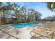 Backyard pool with lounge chairs and mature landscaping, perfect for relaxation and outdoor living at 28 Tall Trees Ct, Sarasota, FL 34232