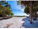 Picturesque beach scene featuring a sandy pathway to the ocean and natural foliage at 650 Penfield St, Longboat Key, FL 34228