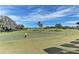 Scenic golf course view with lush green fairways, palm trees, and a serene lake under a partly cloudy sky at 7019 River Hammock Dr # 104, Bradenton, FL 34212