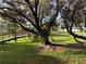Lush backyard with mature trees, a rustic bridge, and plenty of green space at 625 Duchess Blvd, Dunedin, FL 34698