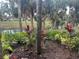 Inviting backyard view of plants, trees, and pond area at 1515 Forrest Nelson Blvd # P107, Port Charlotte, FL 33952